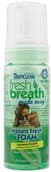 Fresh breath oral care foam