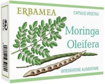 Moringa oleifera 24cps