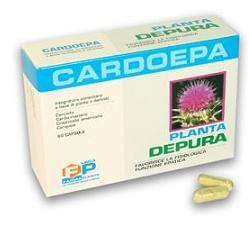 Cardoepa+ 60 capsule
