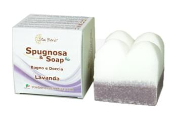 Spugnosa and soap lavanda