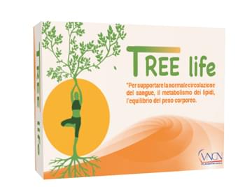 Tree life 40 compresse